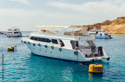Tourist pleasure boats in the harbor of Sharm El Sheikh. © andrei310