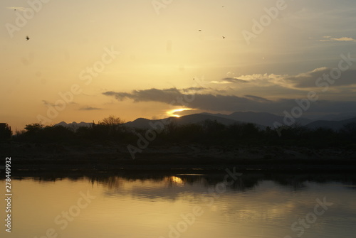 SONY DSC