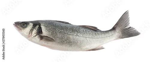 Panel kuchenny z motywem seabass fish isolated without shadow