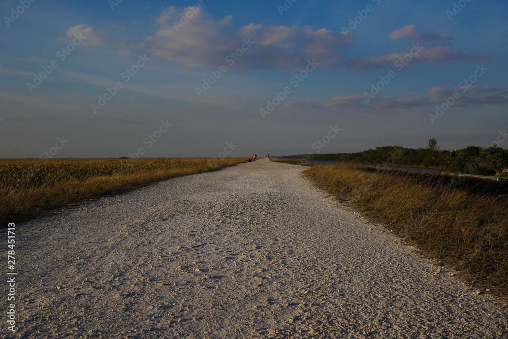 Fototapeta premium Florida Everglades gravel path