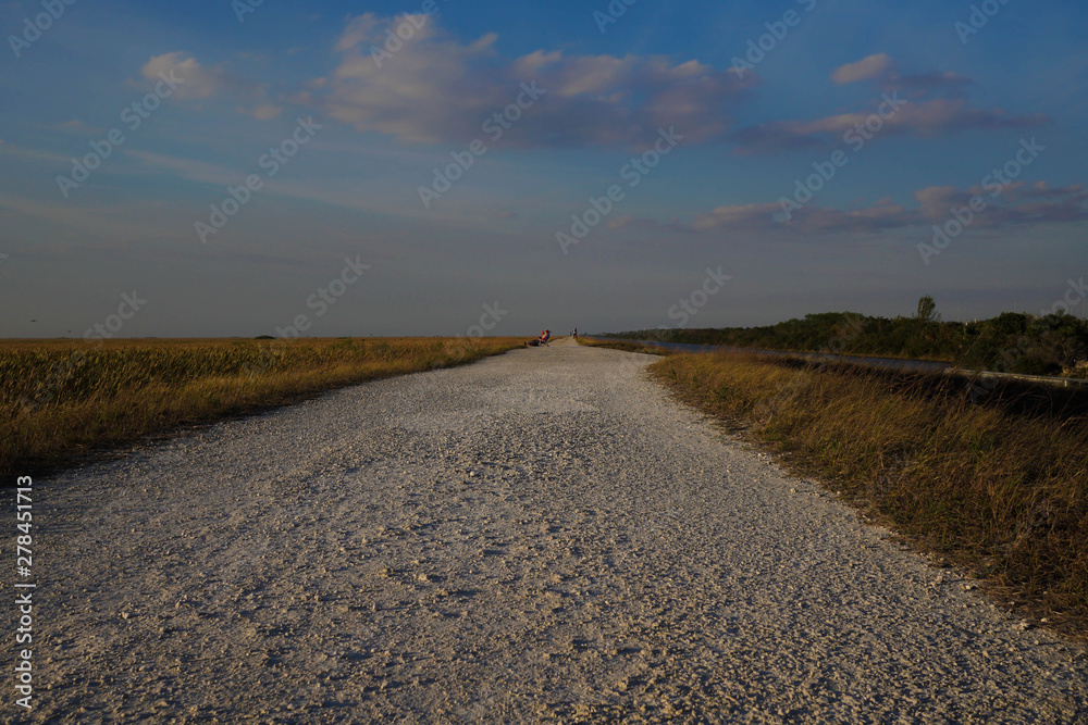 Florida Everglades gravel path