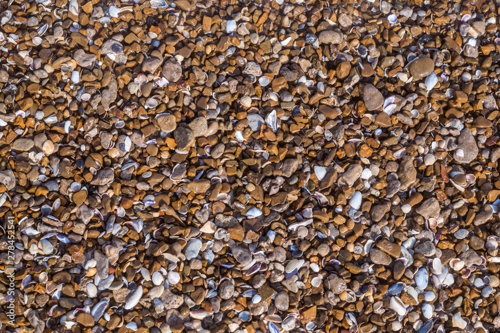 Background from stones and small seashells on the seashore. Background from stones and small seashells on the seashore.