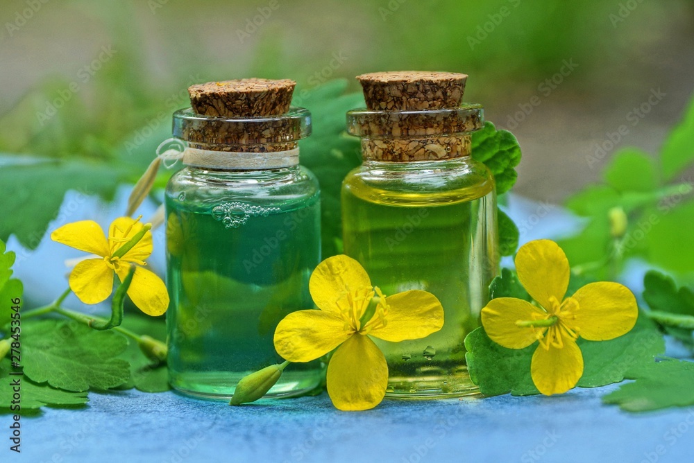 two small glass bottles with oil with yellow flowers and green leaves of the celandine plant