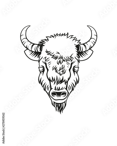 Bison buffalo or zubr head outline logotype icon