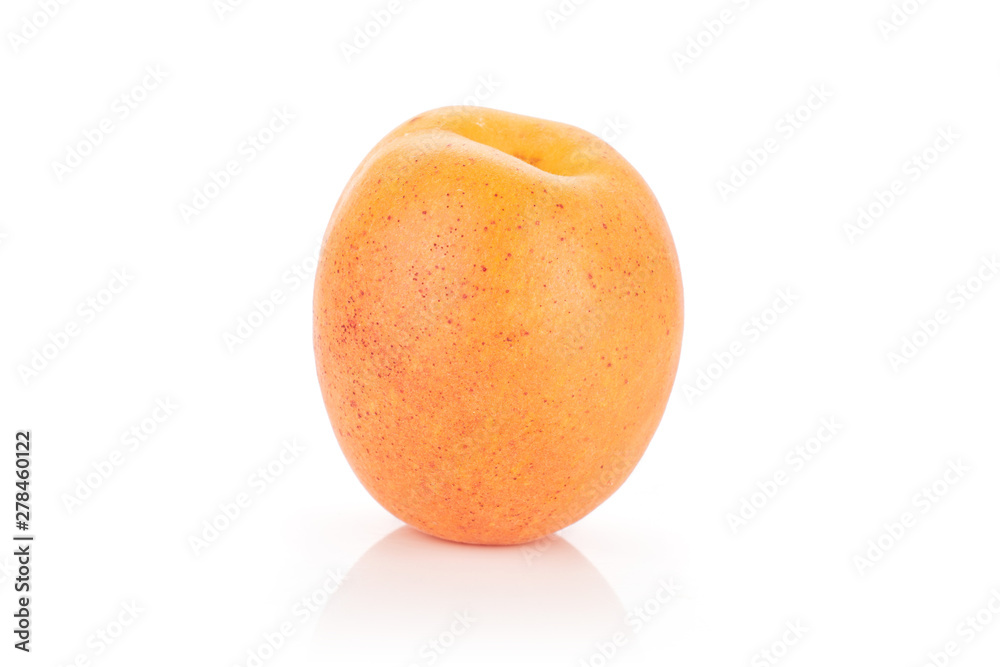 One whole velvety fresh deep orange apricot isolated on white background One whole velvety fresh deep orange apricot isolated on white background