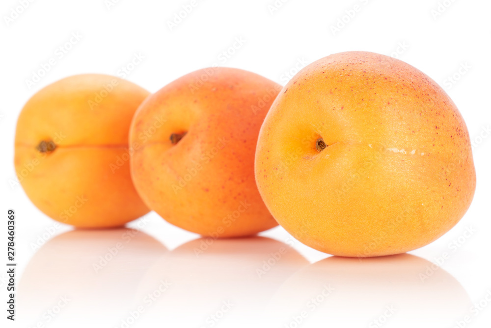 Group of three whole fresh deep orange apricot in a row isolated on white background Group of three whole fresh deep orange apricot in a row isolated on white background