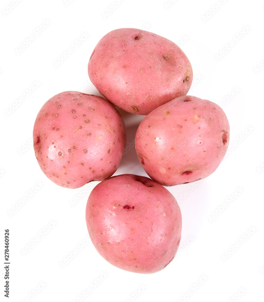 Red Potatoes Isolated on White Background Red Potatoes Isolated on White Background