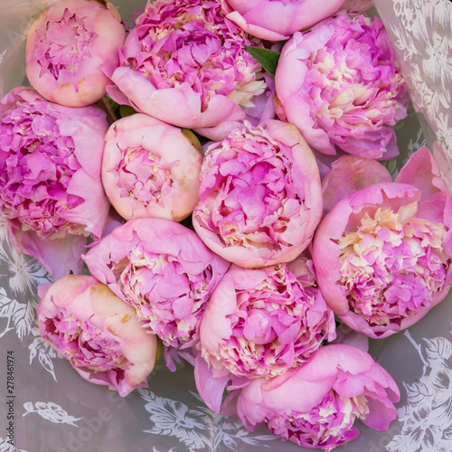 pink peony buds for sale at a farmers market