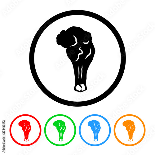 Chicken wing icon vector hot wings illustration buffalo wing design element with four color variations
