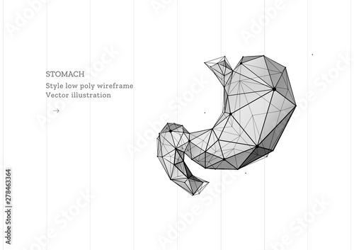 Stomach. The concept of treatment of the digestive system. Low poly wireframe style. Technology in medicine. Abstract illustration isolated on white background. Particles are connected in silhouette