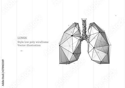 Abstract image of a human lungs in the form of a starry sky or space, consisting of points, lines, and shapes in the form of planets, stars and the universe. Vector.