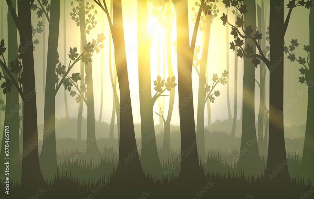 Obraz premium Tree trunks sunset background