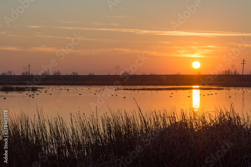 Sun setting over the wetlands