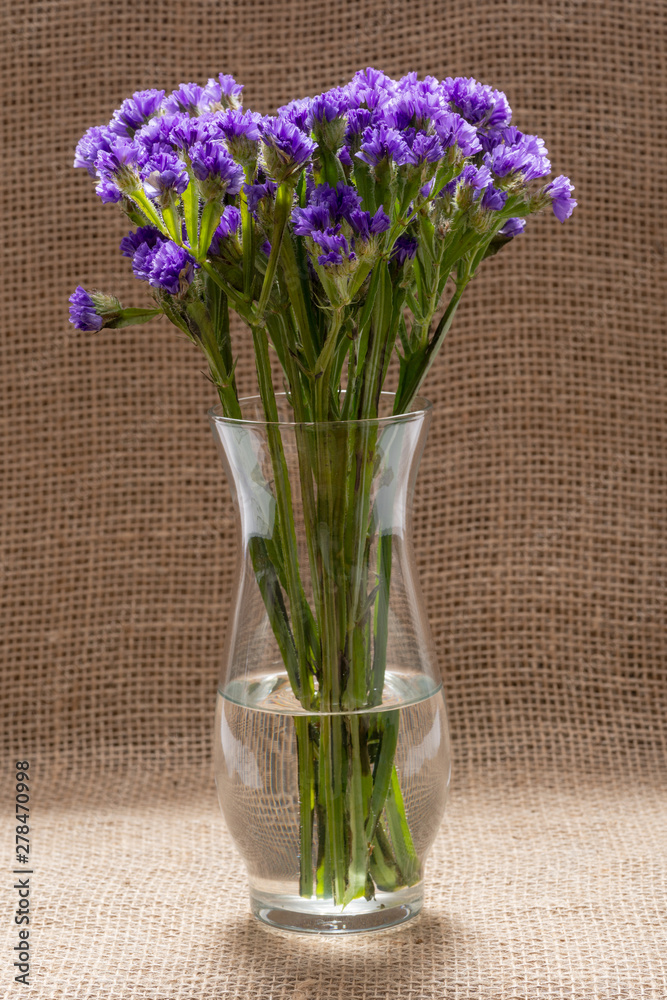 Hãy dành chút thời gian để chiêm ngưỡng vẻ đẹp của hoa Statice tím đậm, một loài hoa mang trong mình sự nữ tính và đẳng cấp. Hình ảnh sắc nét của loài hoa này sẽ khiến bạn cảm thấy thích thú và tràn đầy sức sống.