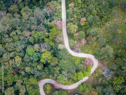 Aerial view of curved road cutting through the forest on high mountains. High angle view from drone.