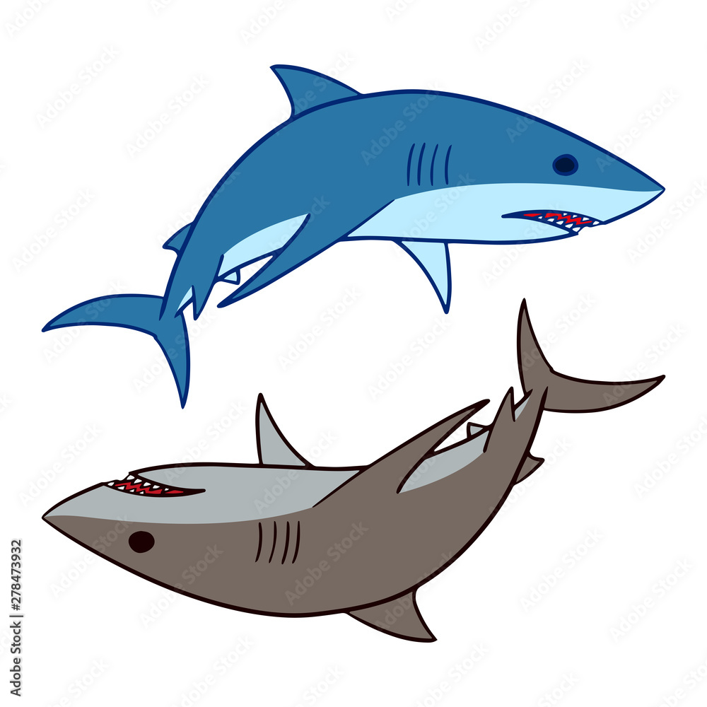 Obraz premium Shark vector illustration. 2 sharks swimming clip art isolated on white background.