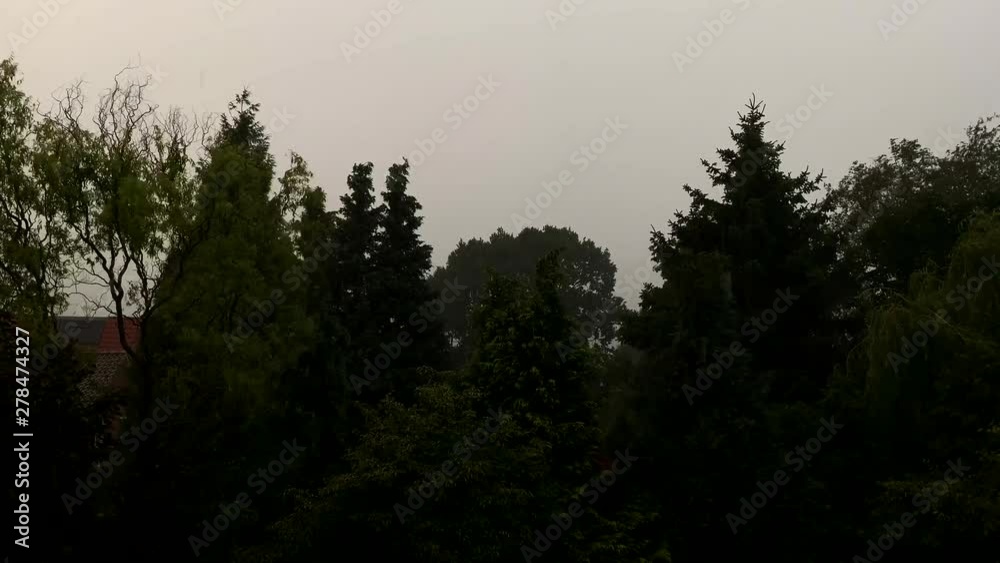 Strong storm and rain thunder, the trees are blowing in the wind. 4k
