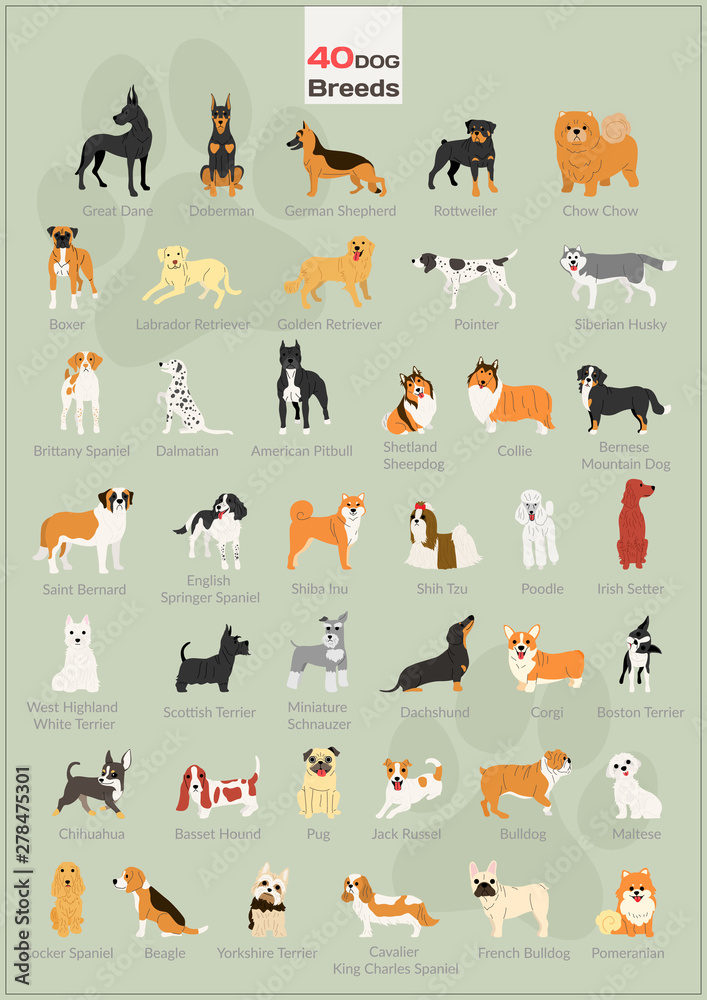 40 dogs in action illustration set 40 dogs in action illustration set