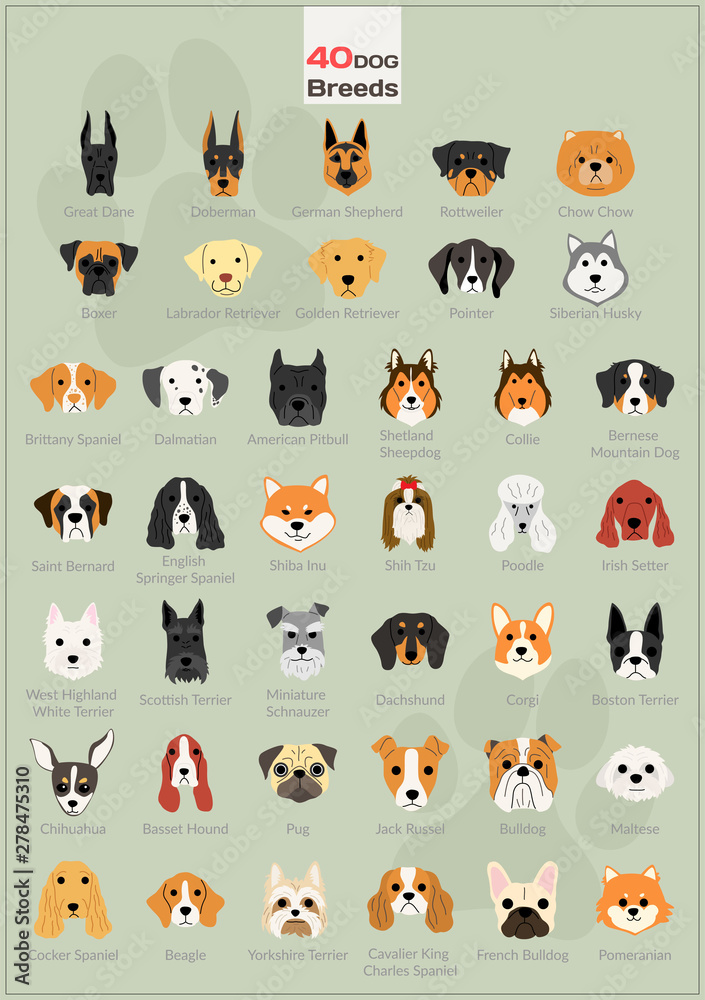 Obraz premium Dog head illustrations background set