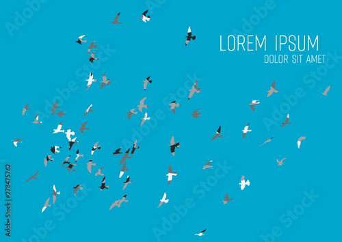 silhouette of a flock of flying birds