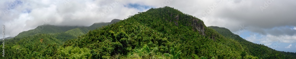 Panoramic of El Yunque National Forest, Puerto Rico Panoramic of El Yunque National Forest, Puerto Rico