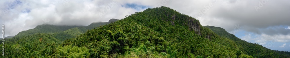 Panoramic of El Yunque National Forest, Puerto Rico