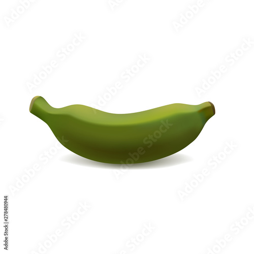 Fresh Tropical Fruit, Green Banana Realistic 3D Illustration, Isolated on White Background - Vector