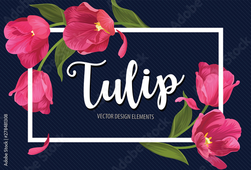 Blooming beautiful pink tulip flowers on blue background template. Vector set of blooming floral for wedding invitations, greeting card, voucher, brochures and banners design.