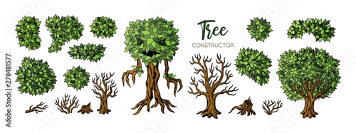 Fantasy trees constructor set. Trees, leaves and branches elements for design