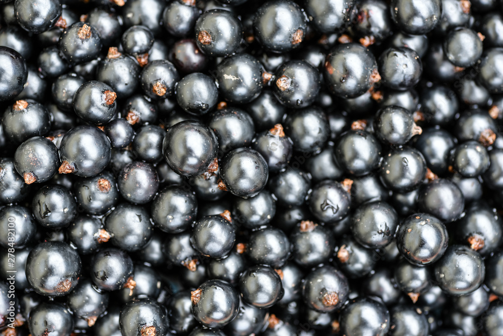Black currant. Top view. Black currant. Top view.