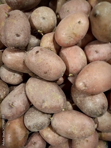 New harvest of sweet ripe potatoes on market close up