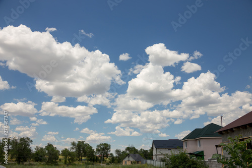 Clouds in the bright summer sky with trees © donikz