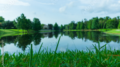 landscape with river and trees