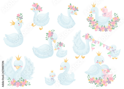 Set of image swans. Vector illustration on white background.