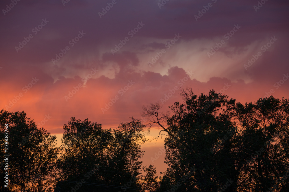 red clouds in the sky during a beautiful sunset and on a tree background