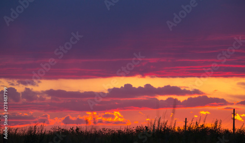 red clouds in the sky during a beautiful sunset and on a tree background © donikz