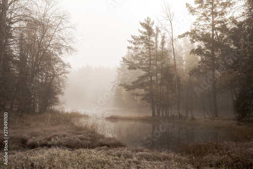 River landscape in a foggy morning