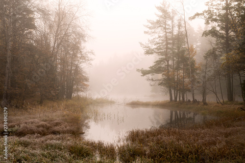Фотография River landscape in a foggy morning