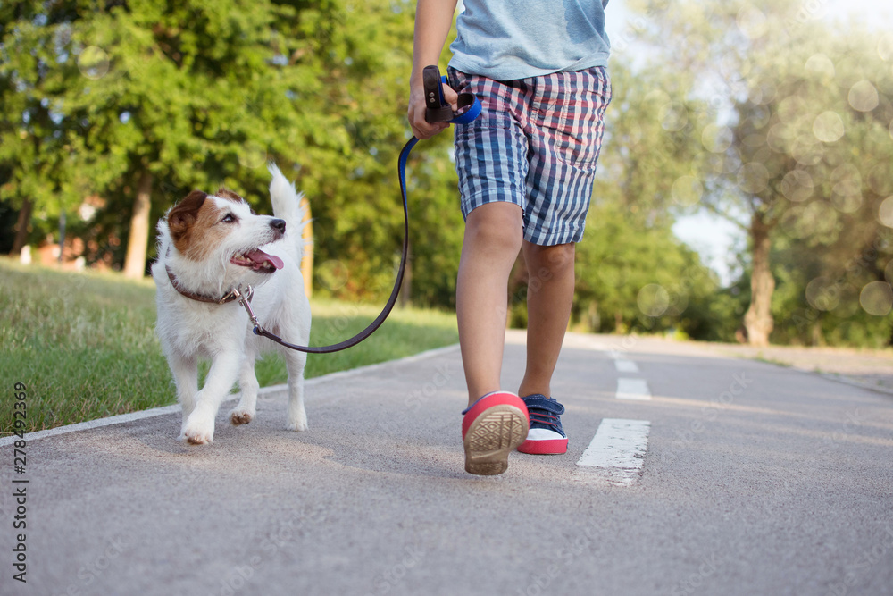 Obraz premium DOG ANG LITTLE CHILD WALKING AT THE PARK SUNSET. FRIENDSHIP AND OBEDIENCE CONCEPT.