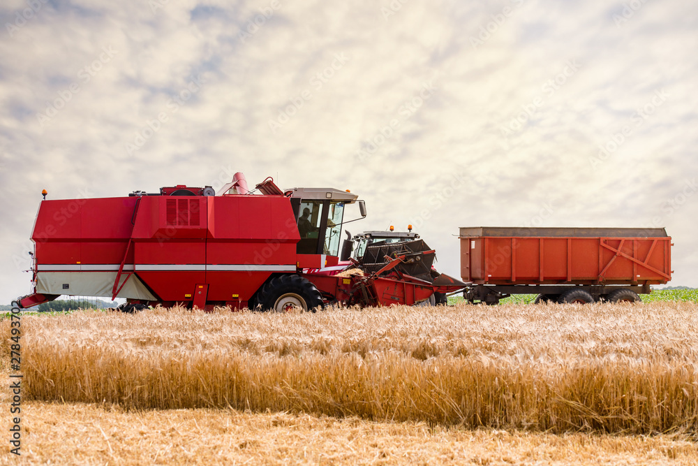 Obraz premium beautiful landscape with a combine harvester in action