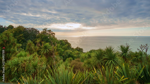 Green tropical forest by the sea