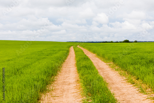 Rural road that goes through green meadows and fields. Sunny summer day