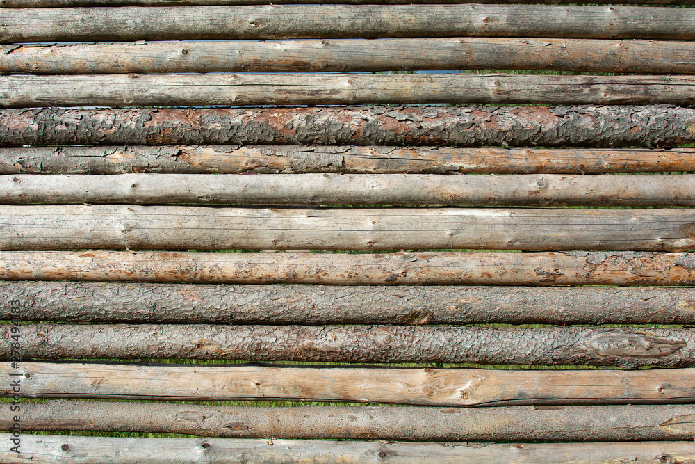 Wall of logs with the bark and debarked of the pine tree. Textured Horizontal Background