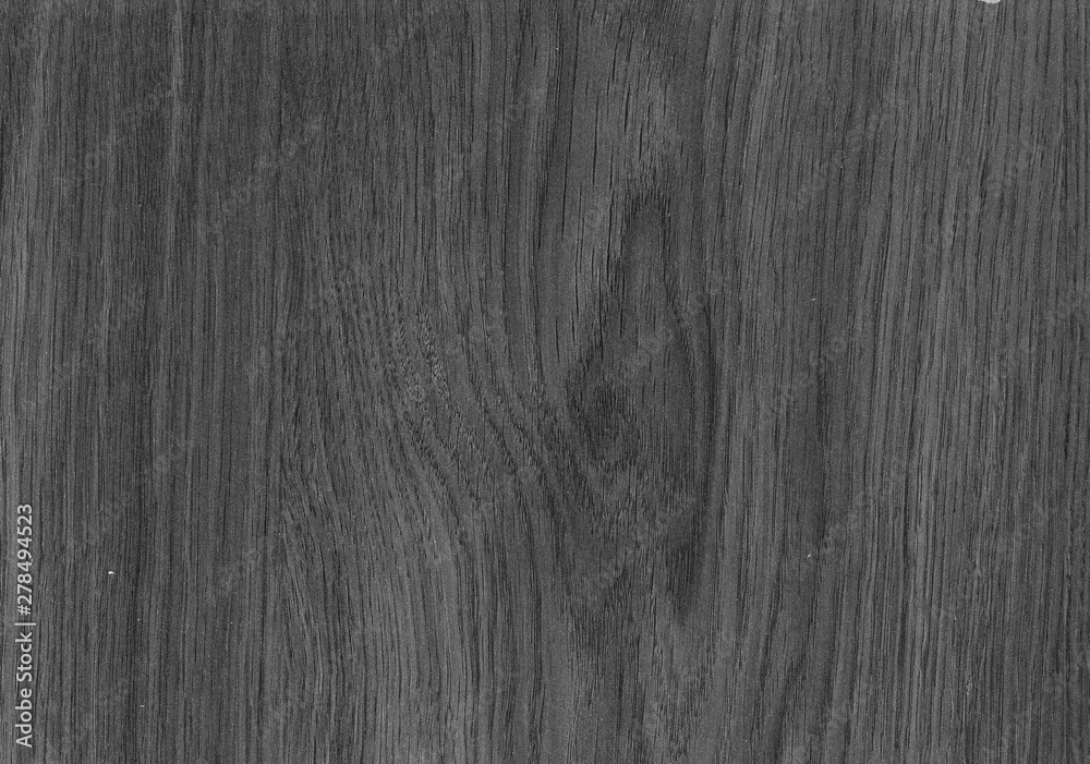 Wood texture with natural pattern. Wood surface background in shades of grey Wood texture with natural pattern. Wood surface background in shades of grey