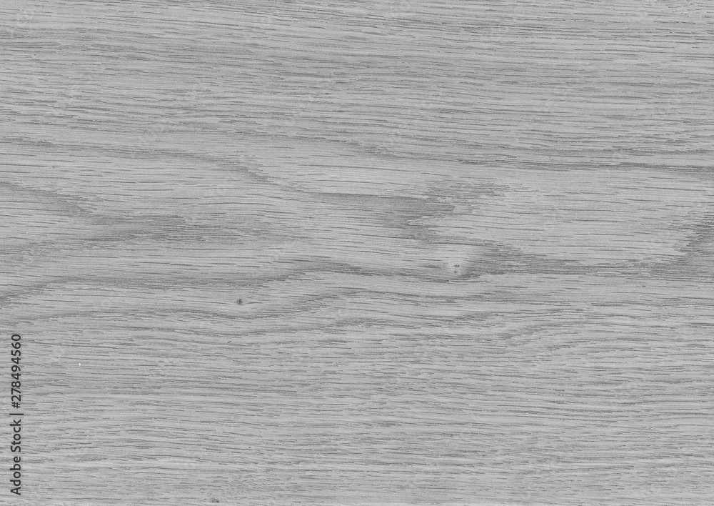 Wood texture with natural pattern. Wood surface background in shades of grey