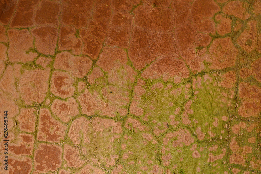 broken wall moss on the wall abstract grunge background