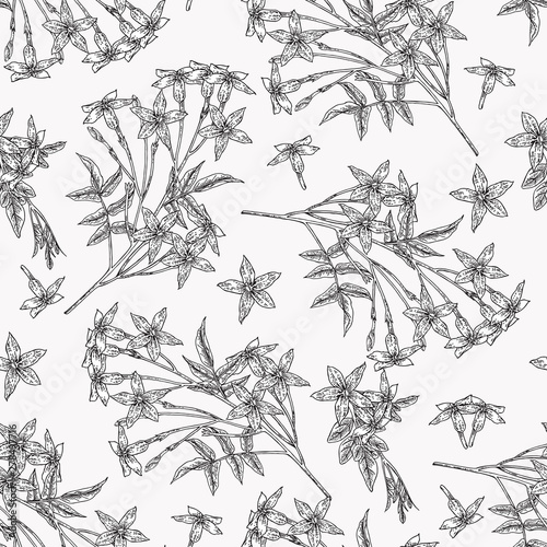 White jasmine seamless pattern. Jasminum officinale flowers and leaves. Summer plants hand drawn. Vector botanical illustration. Black and white graphic.