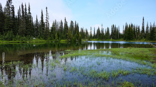 A calm lake reflects a lush forest in Mount Rainier National Park