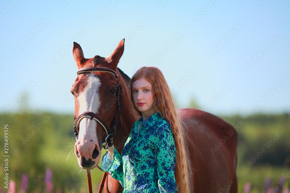 Obraz premium Woman and horse together at paddock