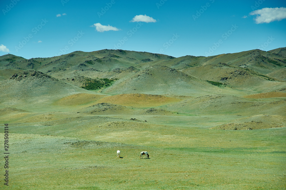 Fototapeta premium Uvs Province in Mongolia.